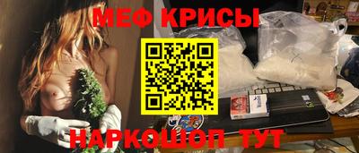 стаф Камышлов