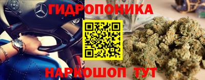 2c-b Канаш