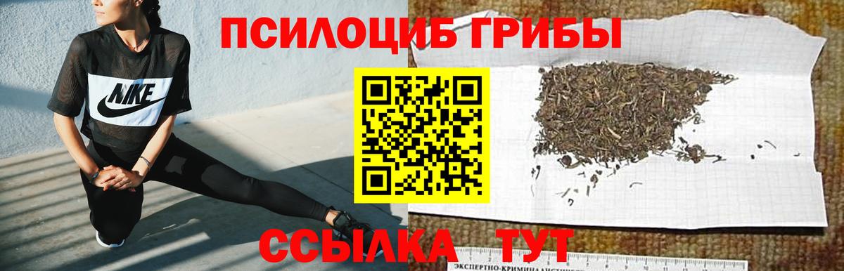Щёкино  где купить наркоту  Вход с VPN  Галлюциногенные грибы GOLDEN TEACHER 